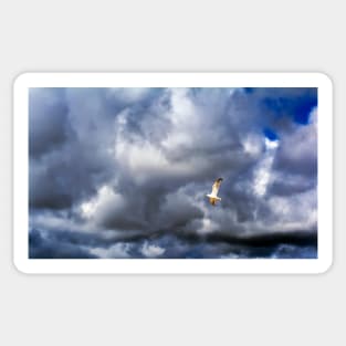 Seagull bird flying over a cloudy blue sky Sticker